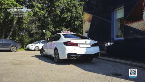 Вариант украшений для свадебного авто №57