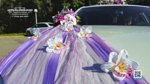 Вариант украшений для свадебного авто №57