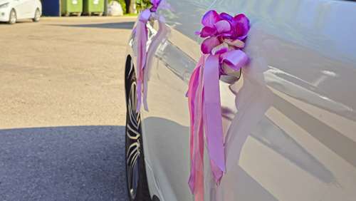 Вариант украшений для свадебного авто №57