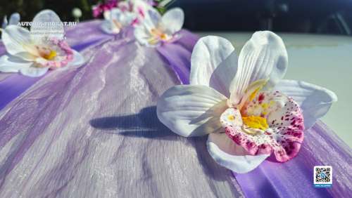 Вариант украшений для свадебного авто №57