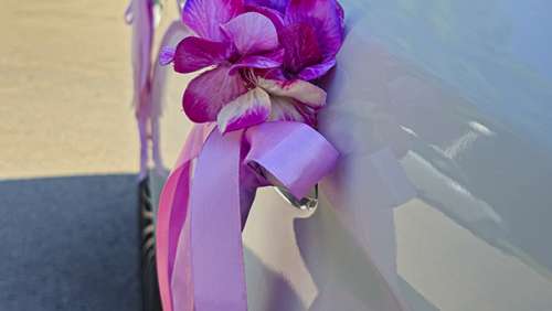 Вариант украшений для свадебного авто №57