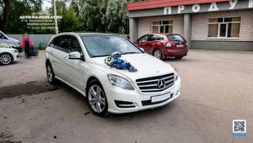 Вариант украшений для свадебного авто №58