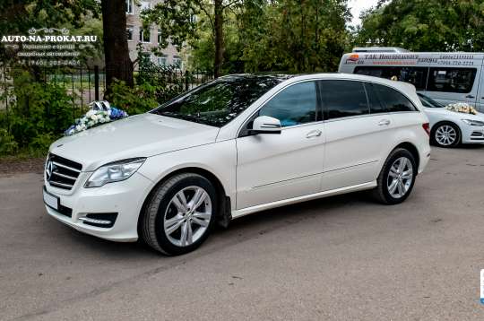 Вариант украшений для свадебного авто №58