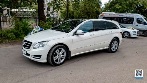 Вариант украшений для свадебного авто №58