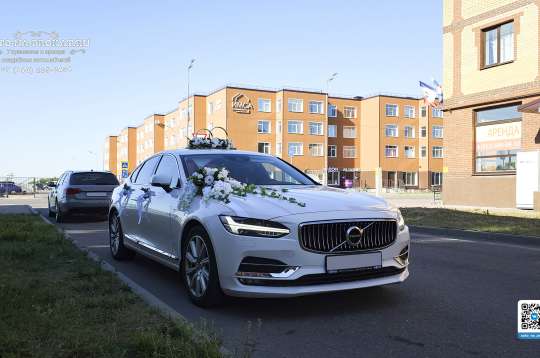 Вариант украшений для свадебного авто №62