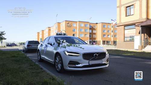 Вариант украшений для свадебного авто №62