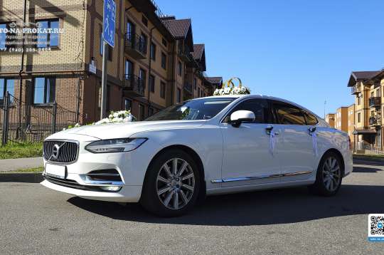 Вариант украшений для свадебного авто №62