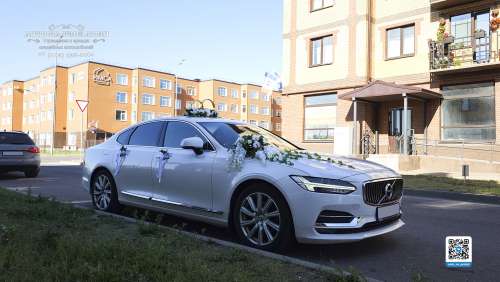 Вариант украшений для свадебного авто №62