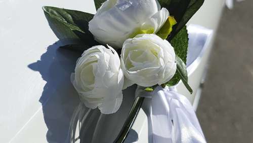 Украшение авто на свадьбу, вариант №62, Великий Новгород