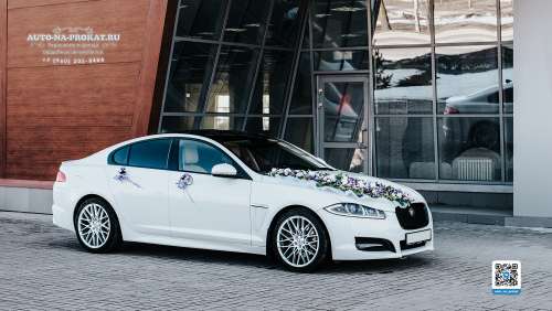 Вариант украшений для свадебного авто №04