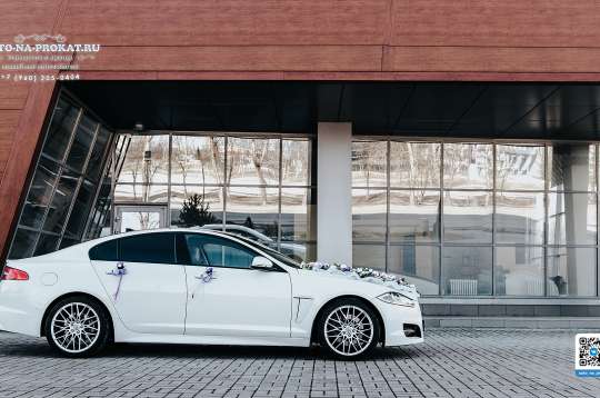 Вариант украшений для свадебного авто №04