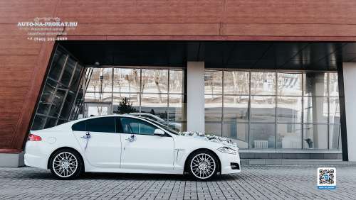 Вариант украшений для свадебного авто №04