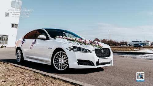 Вариант украшений для свадебного авто №04