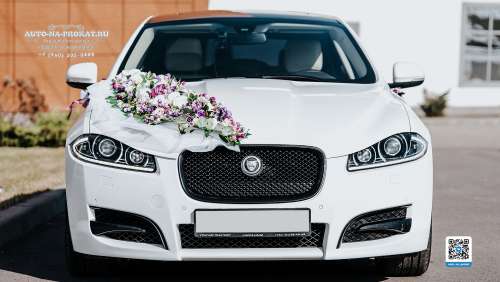 Вариант украшений для свадебного авто №04