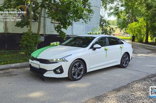 Вариант украшений для свадебного авто №05