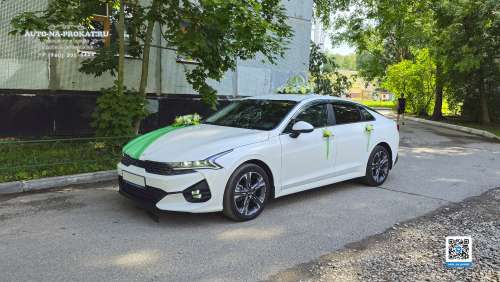 Вариант украшений для свадебного авто №05