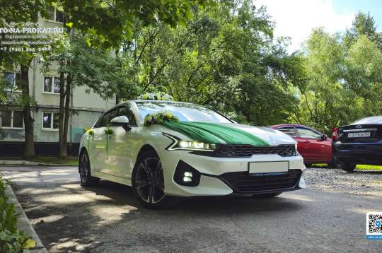 Вариант украшений для свадебного авто №05