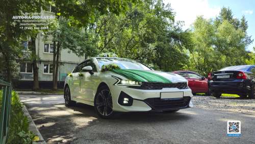 Вариант украшений для свадебного авто №05