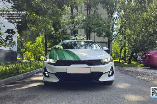 Вариант украшений для свадебного авто №05