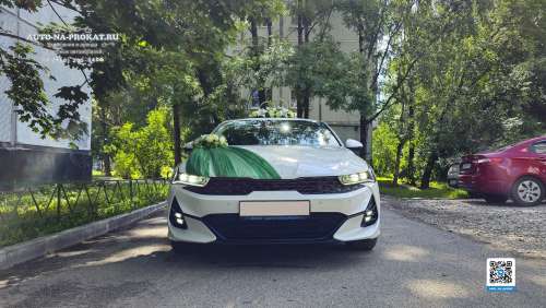 Вариант украшений для свадебного авто №05