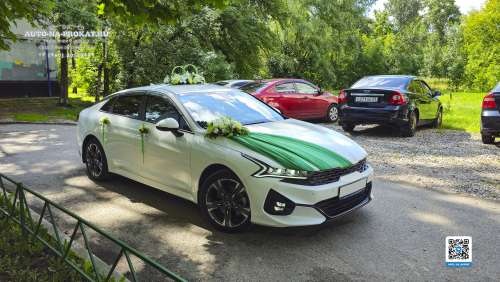 Вариант украшений для свадебного авто №05