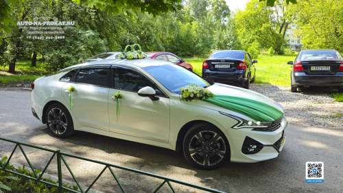 Вариант украшений для свадебного авто №05