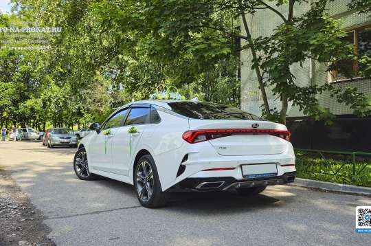 Вариант украшений для свадебного авто №05