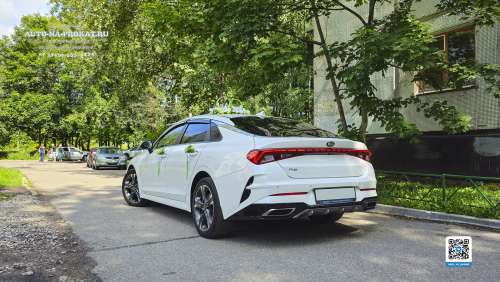 Вариант украшений для свадебного авто №05