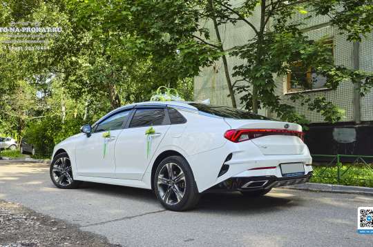 Вариант украшений для свадебного авто №05