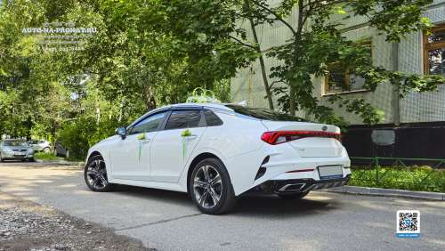 Вариант украшений для свадебного авто №05