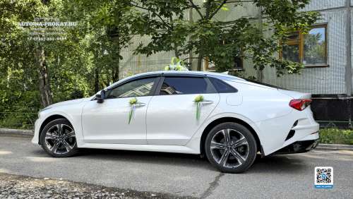 Вариант украшений для свадебного авто №05