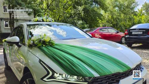 Вариант украшений для свадебного авто №05