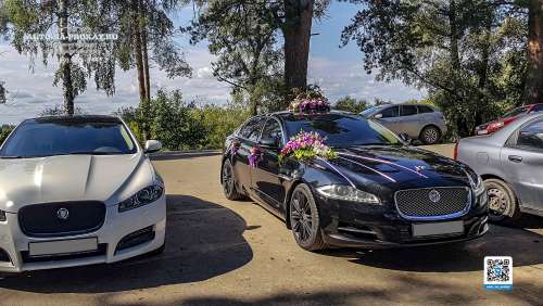 Вариант украшений для свадебного авто №64