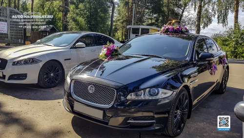 Вариант украшений для свадебного авто №64