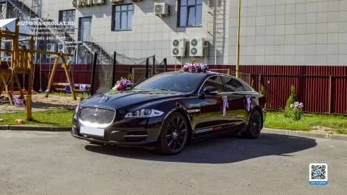 Вариант украшений для свадебного авто №64