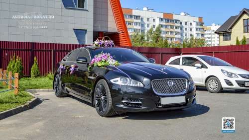 Вариант украшений для свадебного авто №64