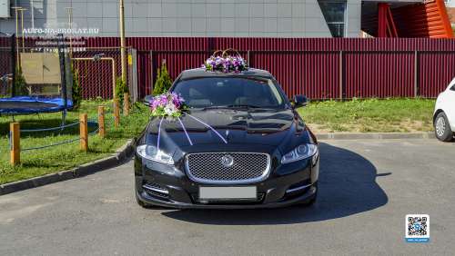 Вариант украшений для свадебного авто №64