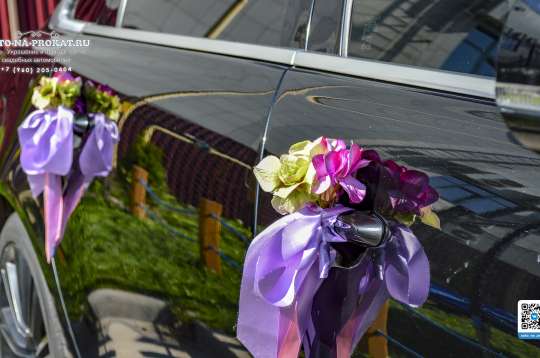 Вариант украшений для свадебного авто №64 Вариант украшений для свадебного авто №64