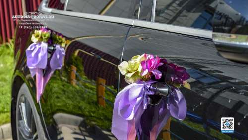 Вариант украшений для свадебного авто №64