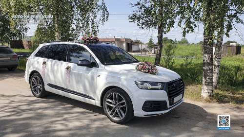 Вариант украшений для свадебного авто №07