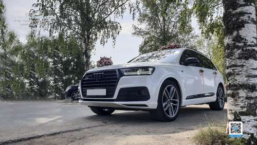 Вариант украшений для свадебного авто №07