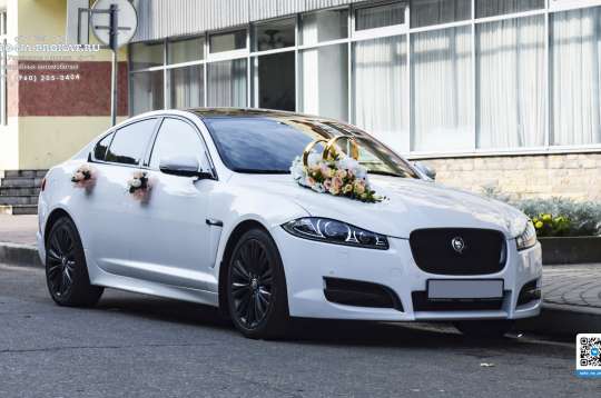 Вариант украшений для свадебного авто №10