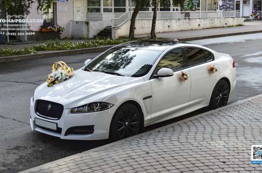 Вариант украшений для свадебного авто №10