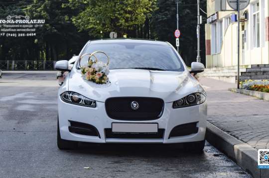 Вариант украшений для свадебного авто №10