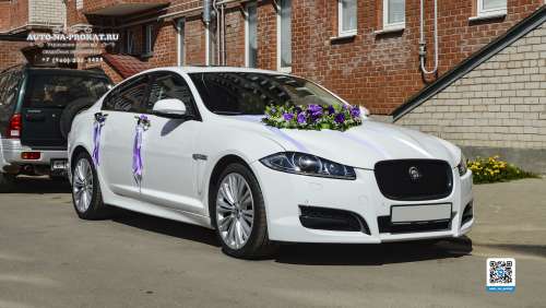 Вариант украшений для свадебного авто №12