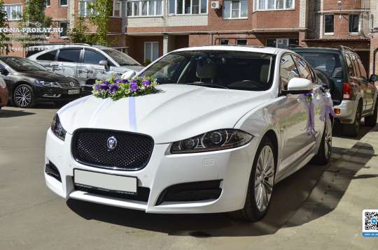 Вариант украшений для свадебного авто №12