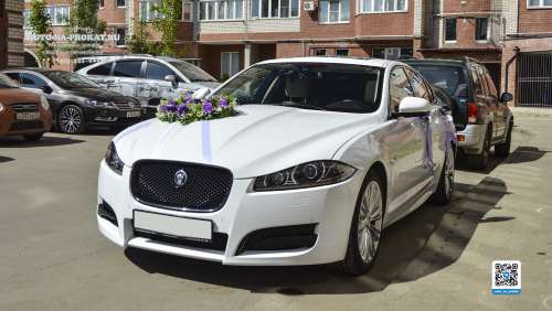 Вариант украшений для свадебного авто №12