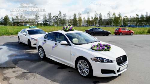 Вариант украшений для свадебного авто №12