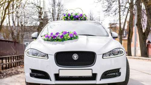 Вариант украшений для свадебного авто №12