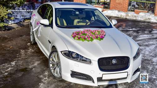 Вариант украшений для свадебного авто №65
